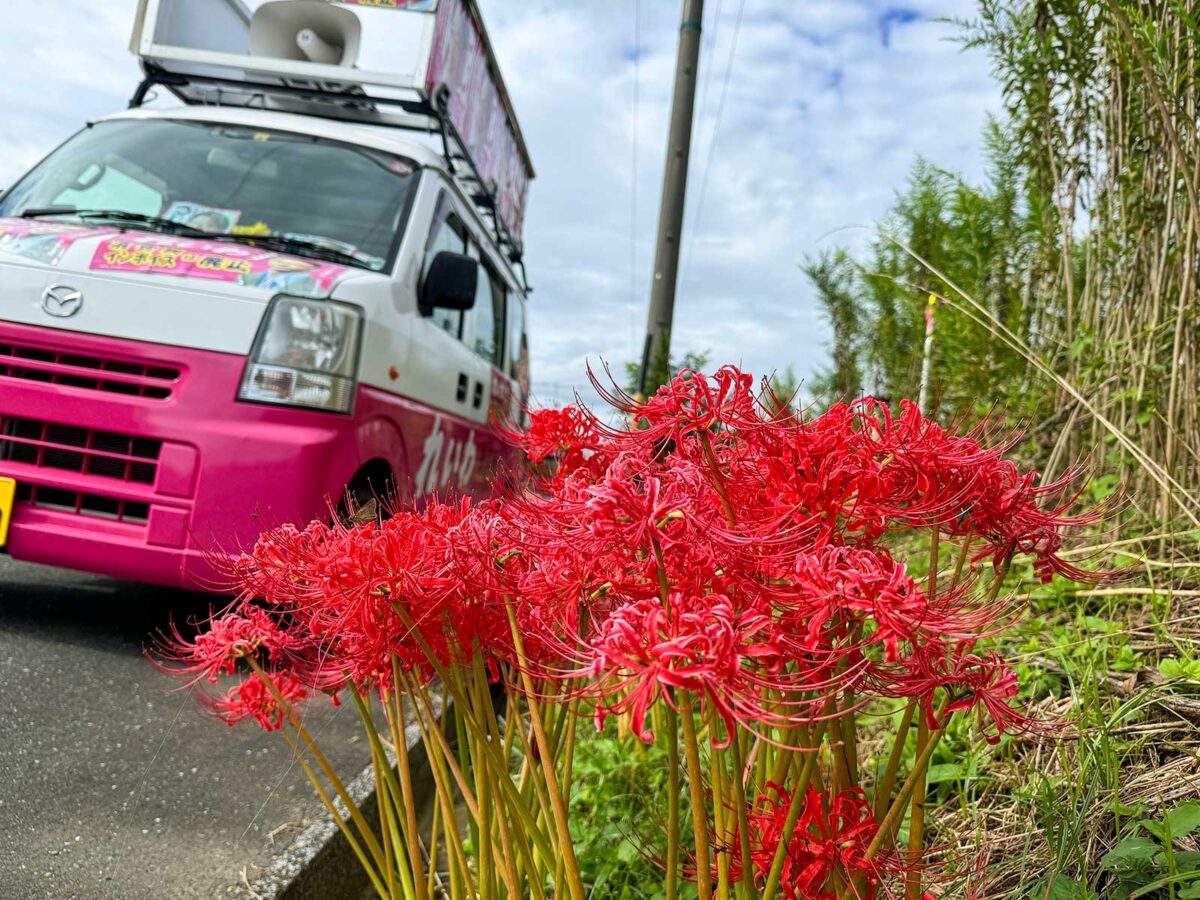 少しでも目立ちたい街宣車