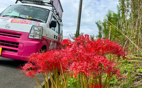 少しでも目立ちたい街宣車