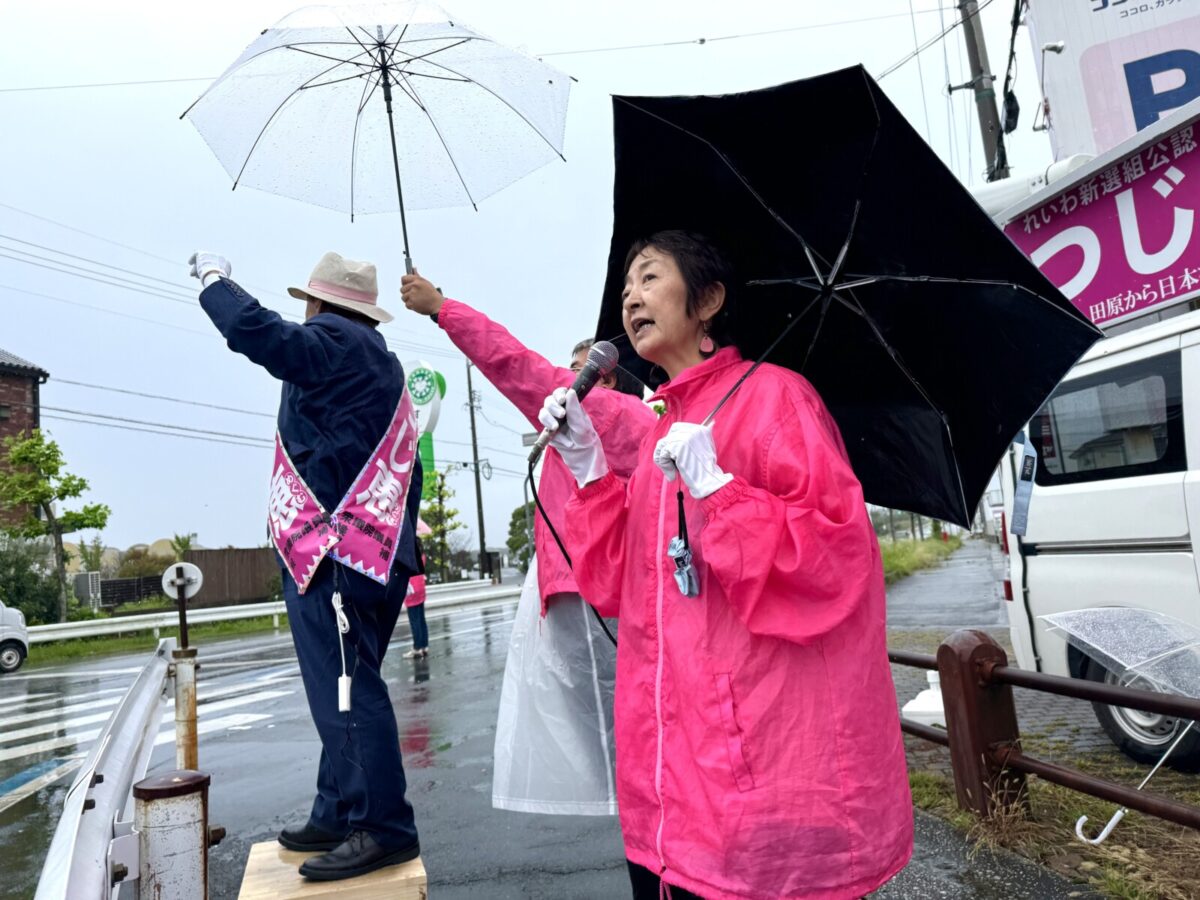 道の駅田原めっくんはうす前で街頭演説